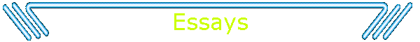Essays